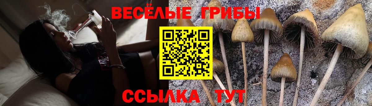 Псилоцибиновые грибы Psilocybine cubensis  продажа наркотиков  Заволжье  Вход с VPN 